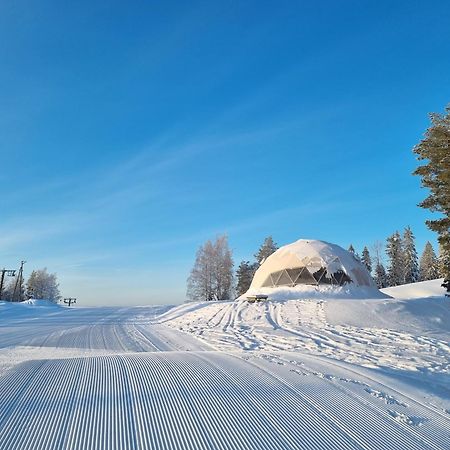 Jyväskylä Outdoor Hostel Laajis מראה חיצוני תמונה