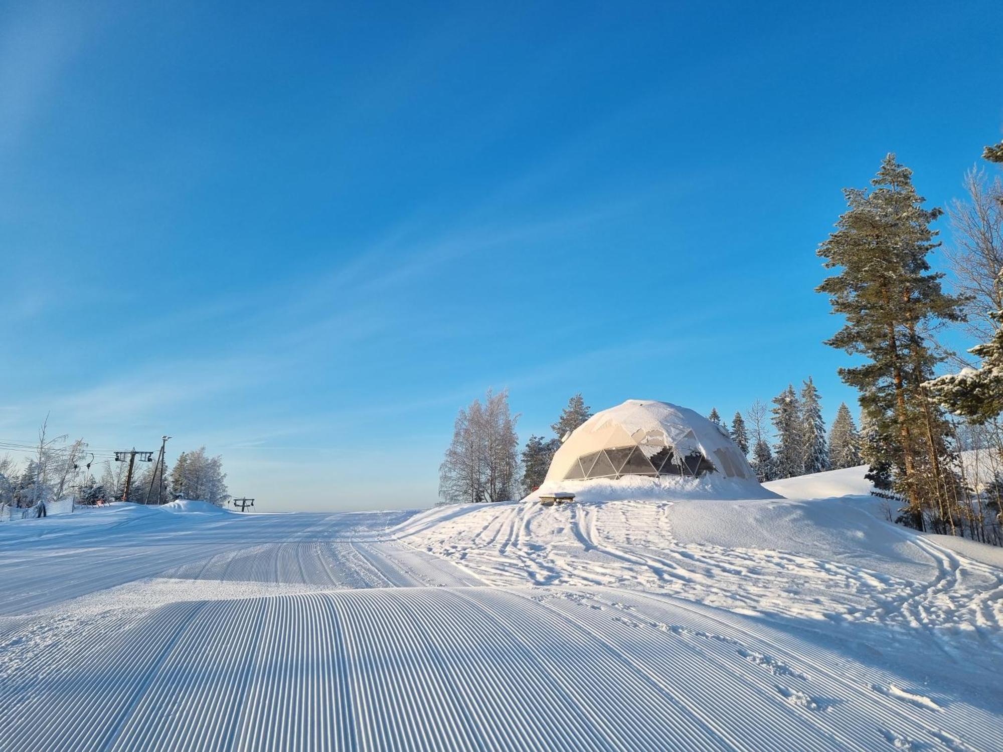 Jyväskylä Outdoor Hostel Laajis מראה חיצוני תמונה